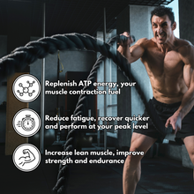 Load image into Gallery viewer, 500g Creatine Monohydrate – Big Tub – 5g per Scoop - 100 Servings - Micronised Creatine Supplement for Building Muscle and Strength Gains – Unflavoured, Dissolves Easy – Made in UK